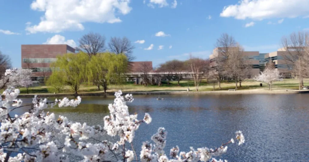 featured image of burrell bh